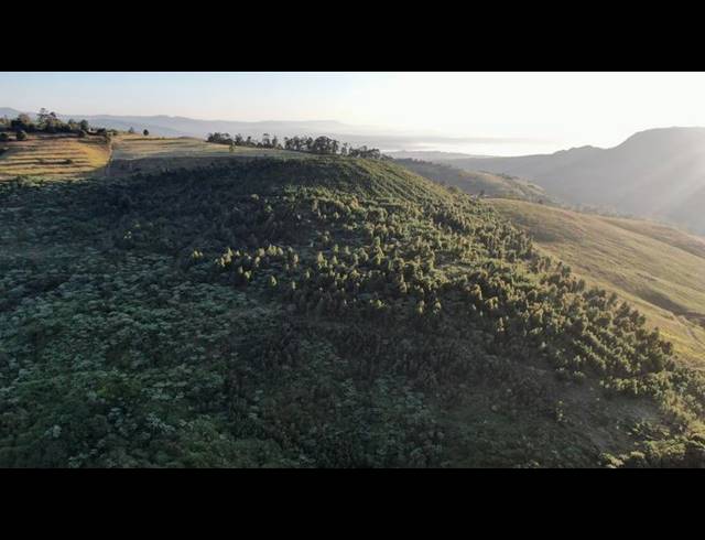 FARM FOR SALE IN MOUNT VERDE